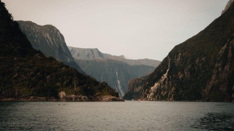 New Zealand Investor Guide