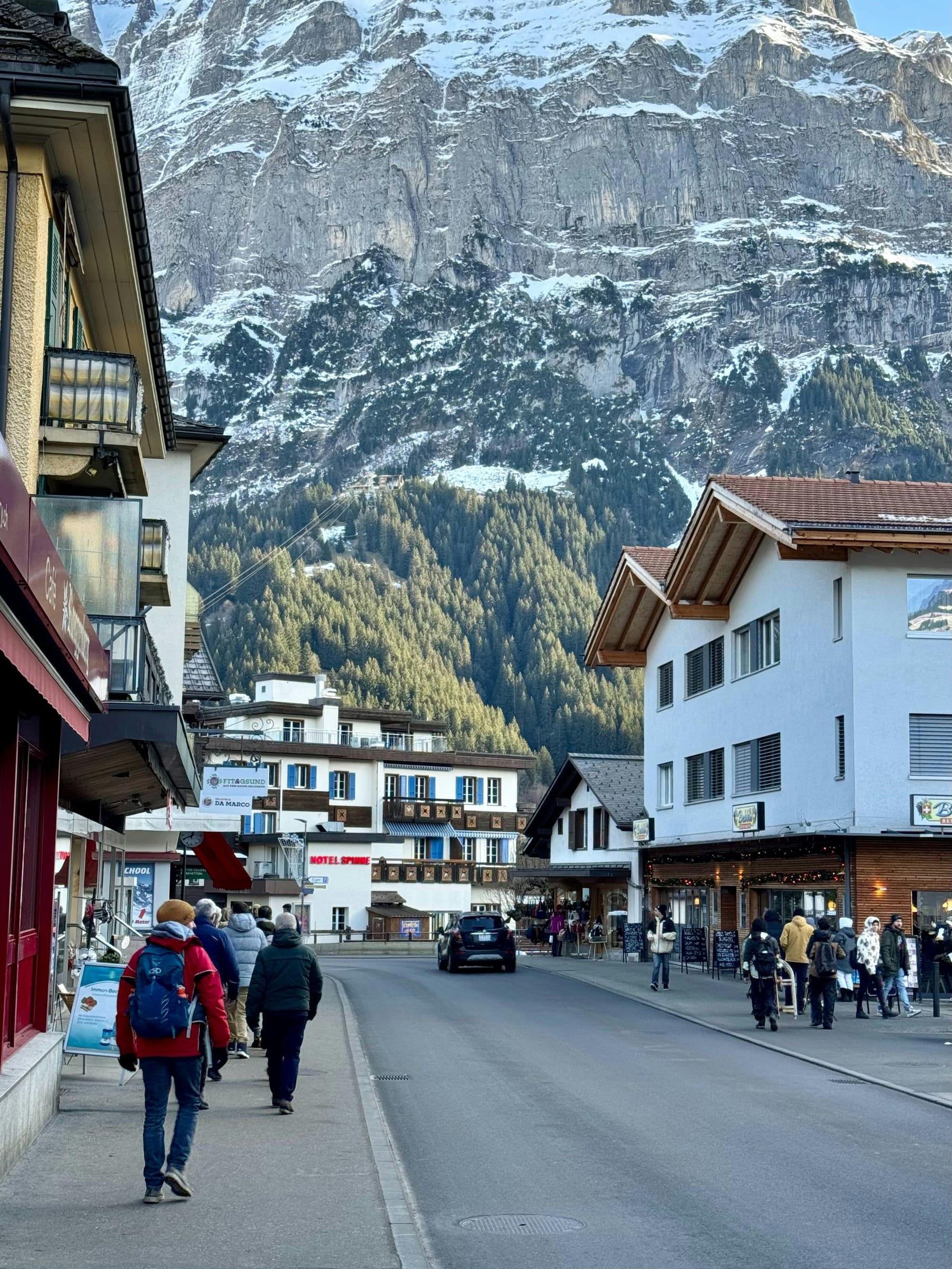 Alpine Resort Markets property investment