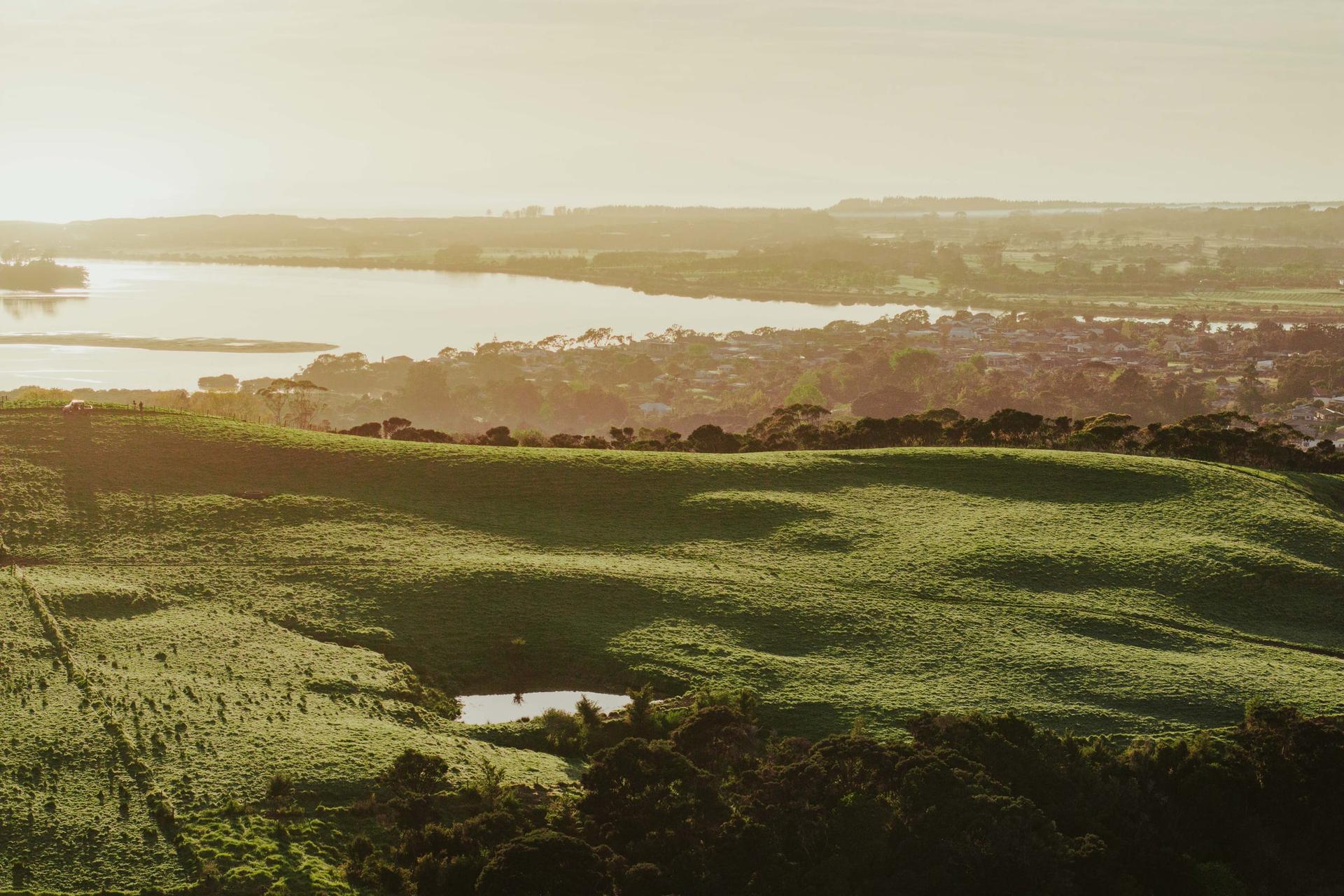 Mangawhai Hills — photograph 4