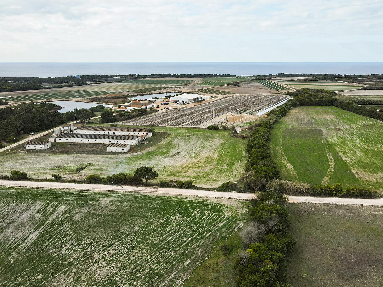 Country Estate in Aljezur (61812) — photograph 2