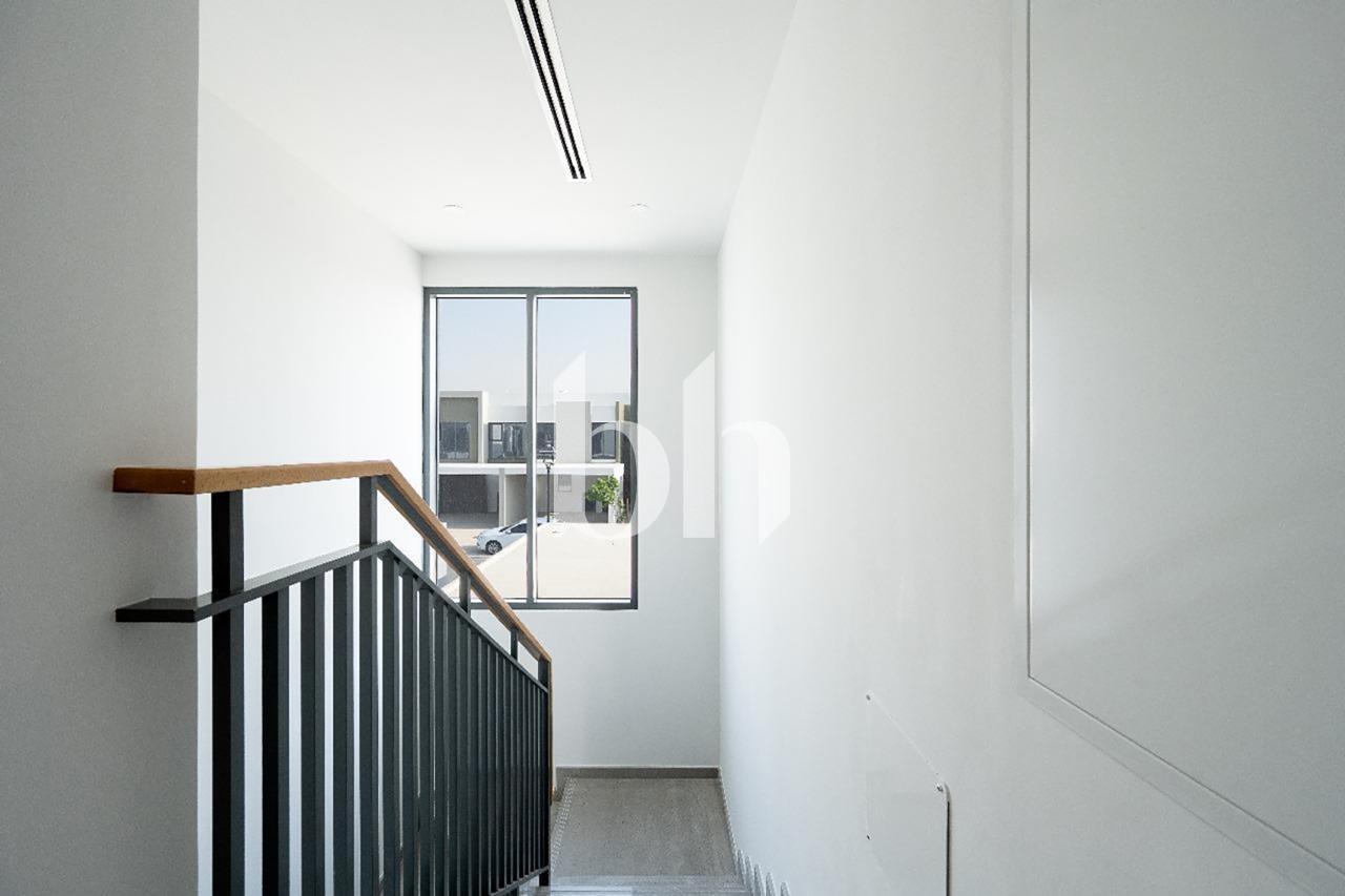 La Rosa 2 — photograph 5