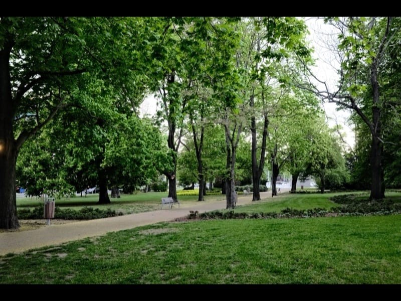 Barton Hills