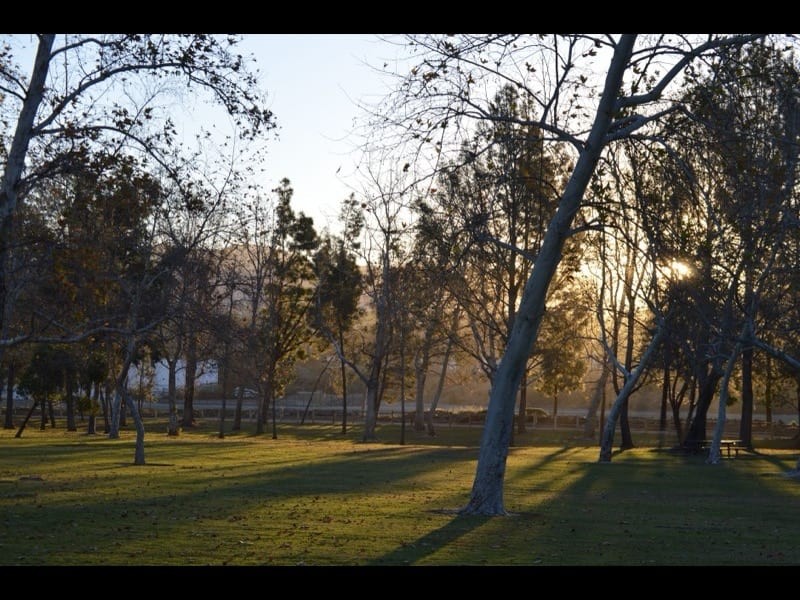 Zilker